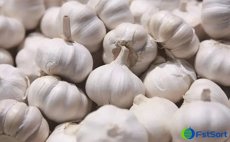 images/1672295808774garlic grader.jpg